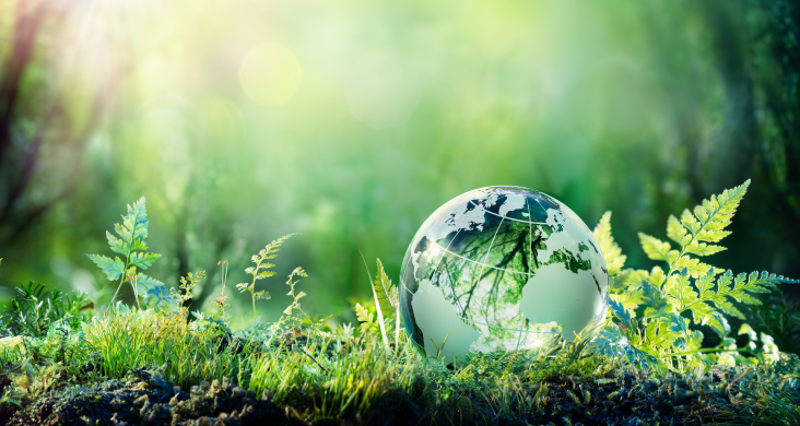 The new plastics economy: circular business models and sustainability BIOPLASTIC101